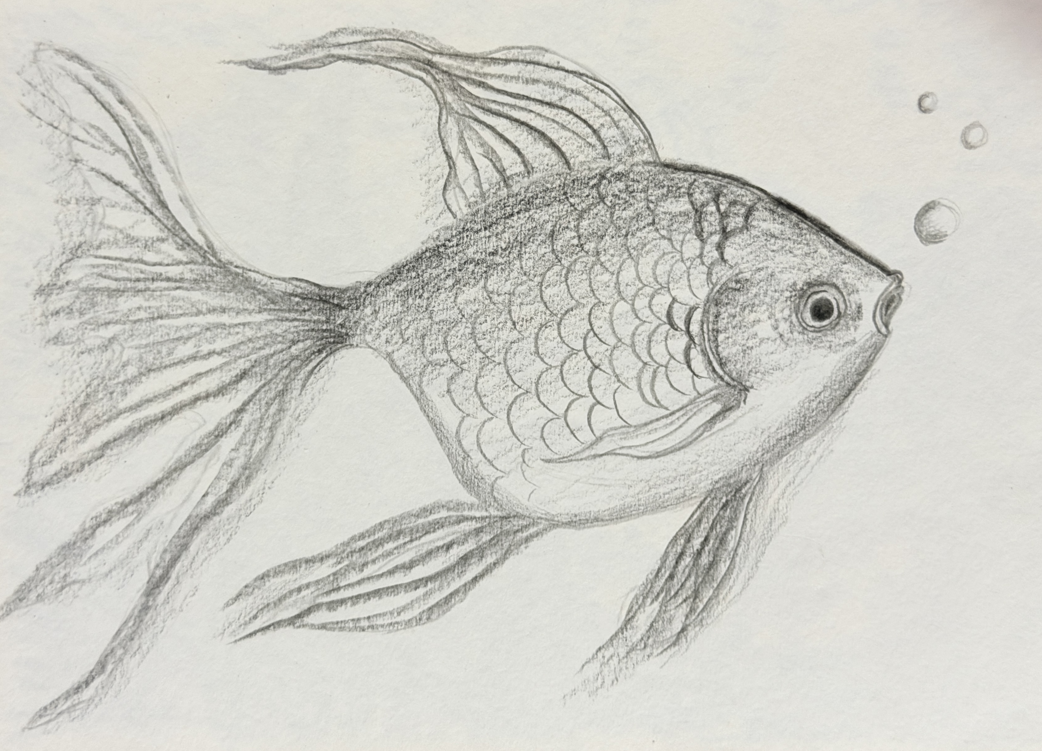 Sketching